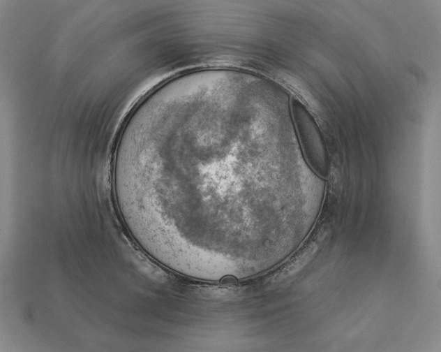 X0000113110948200909181625
