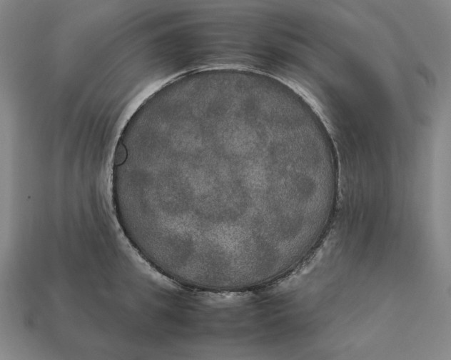 X0000113110949200909181625