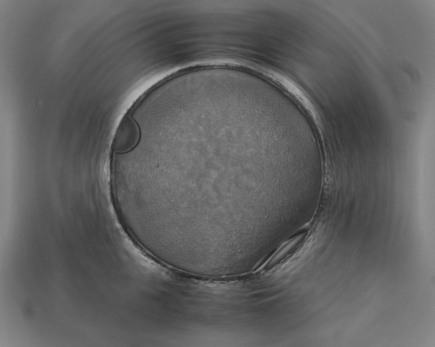 X0000113110951200909181625