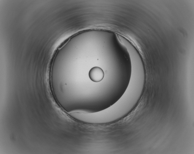 X0000113110952200909181625