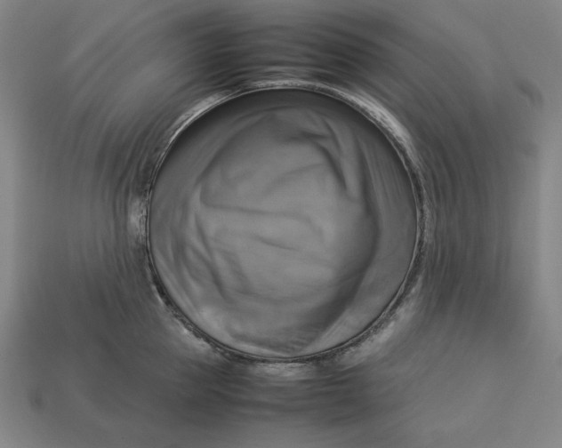 X0000113110953200909181625