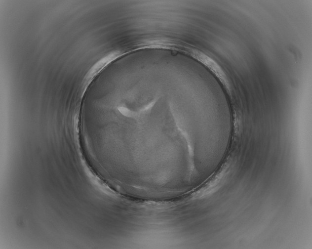 X0000113110954200909181625