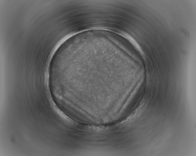X0000113110955200909181625