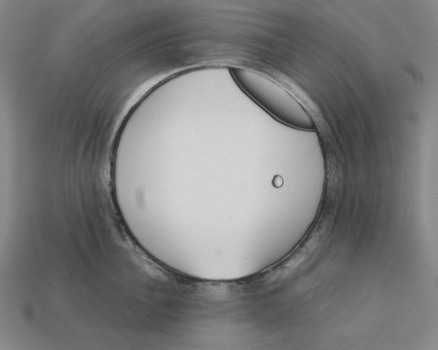 X0000113110956200909181625