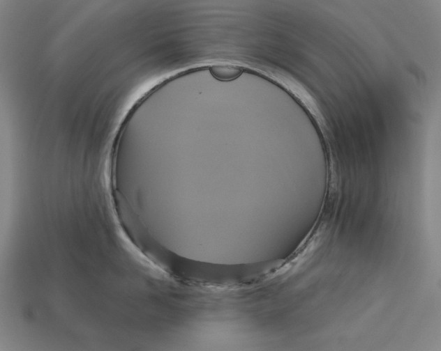 X0000113110958200909181625