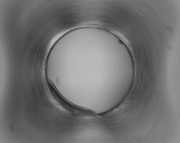 X0000113110960200909181625
