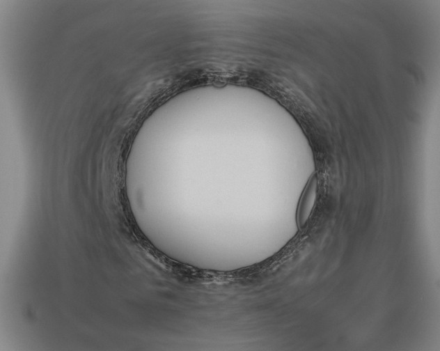 X0000113110961200909181625
