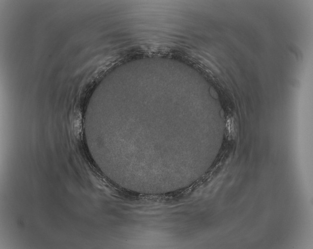 X0000113110963200909181625