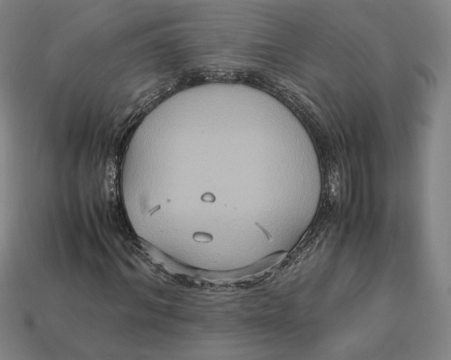 X0000113110964200909181625