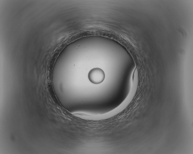 X0000113110965200909181625