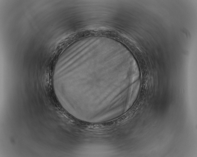 X0000113110966200909181625