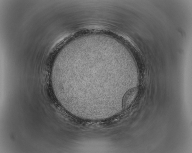 X0000113110967200909181625