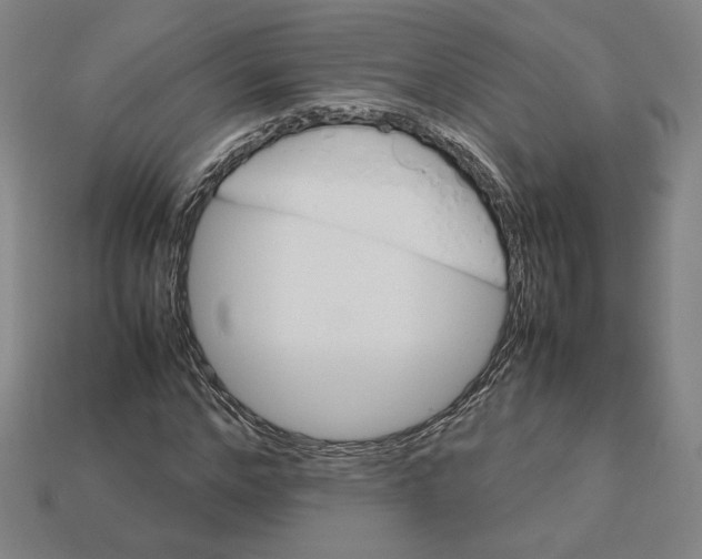 X0000113110968200909181625