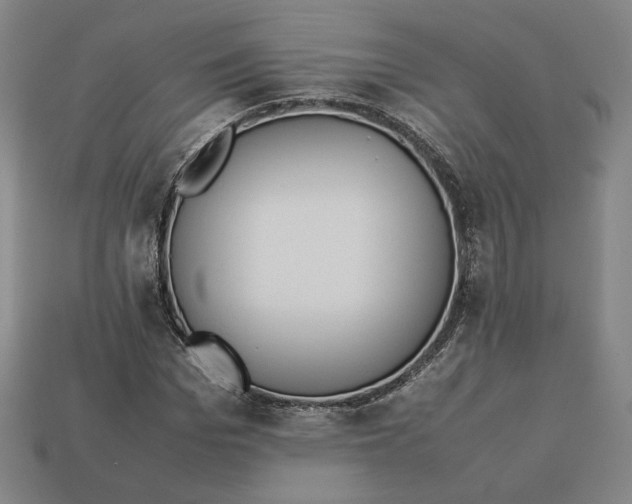 X0000113110969200909181625