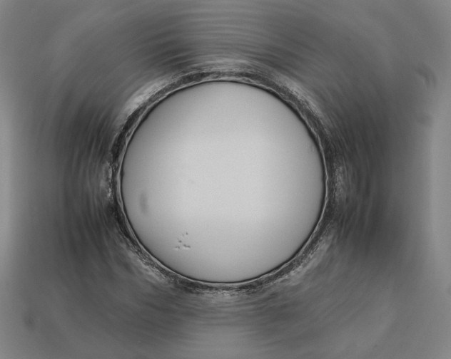 X0000113110970200909181625