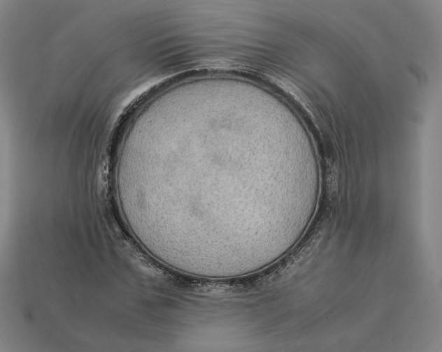 X0000113110971200909181625