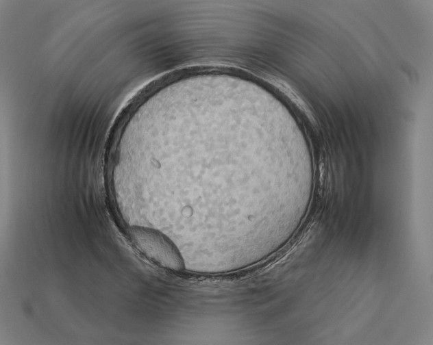 X0000113110972200909181625