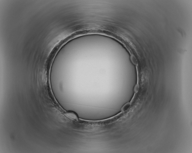 X0000113110973200909181625