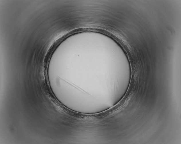 X0000113110974200909181625