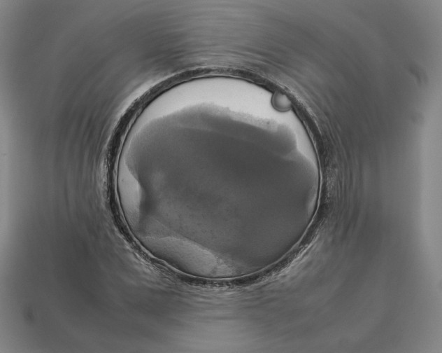 X0000113110975200909181625