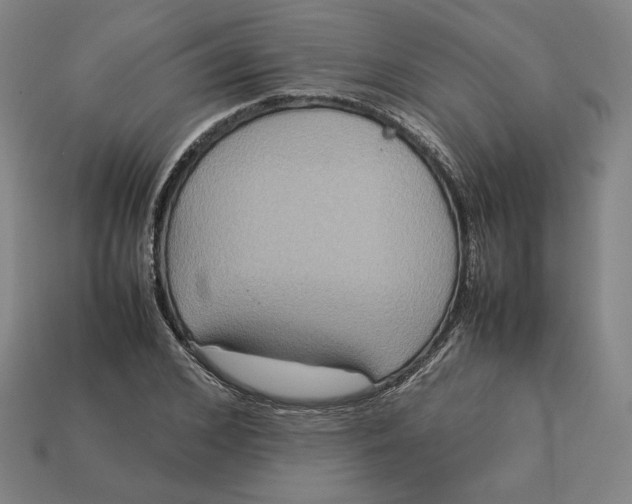 X0000113110976200909181625