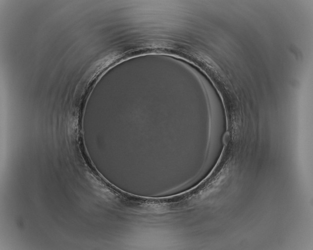 X0000113110977200909181625