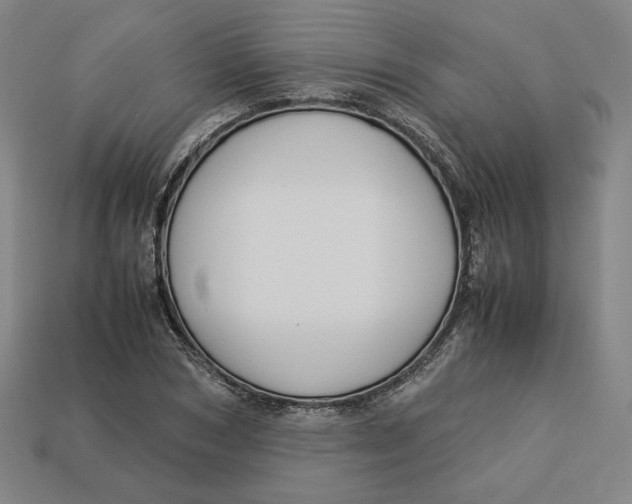 X0000113110978200909181625