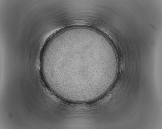 X0000113110979200909181624