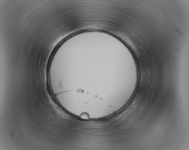 X0000113110980200909181624