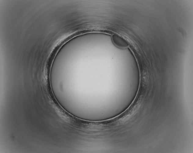 X0000113110981200909181624