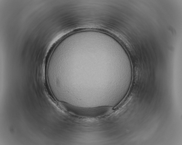 X0000113110982200909181624