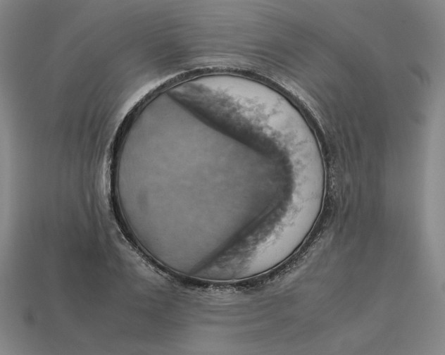 X0000113110983200909181624