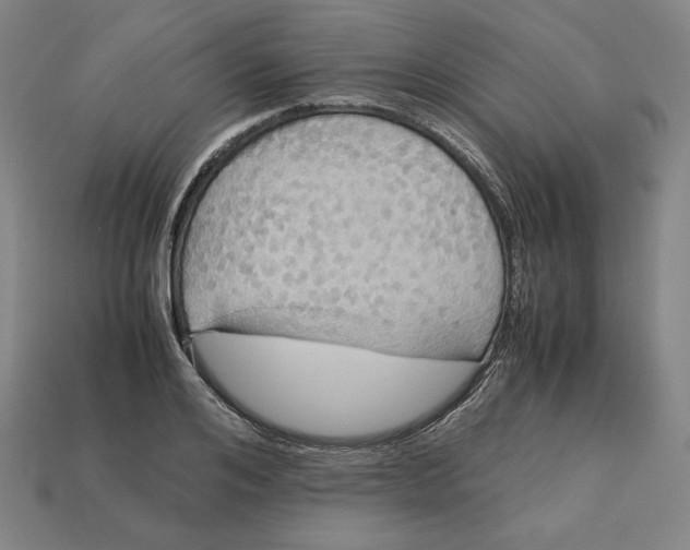 X0000113110984200909181624