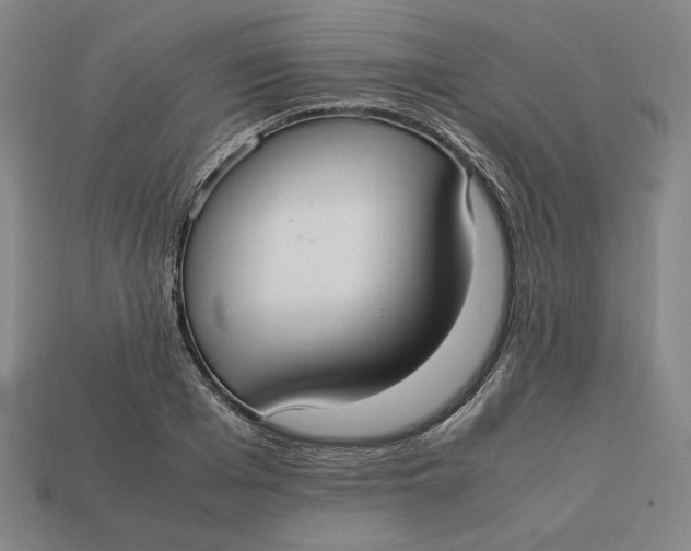 X0000113110985200909181624