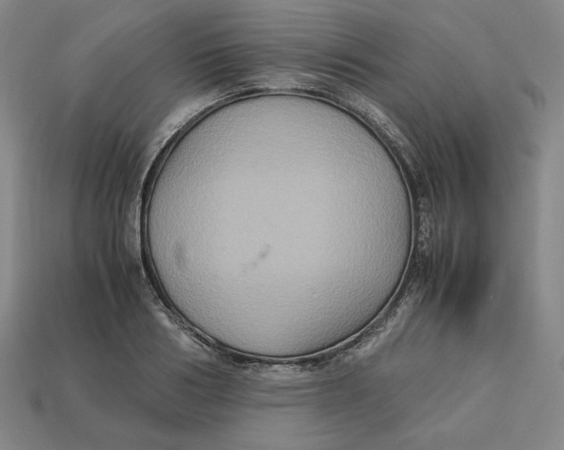 X0000113110986200909181624