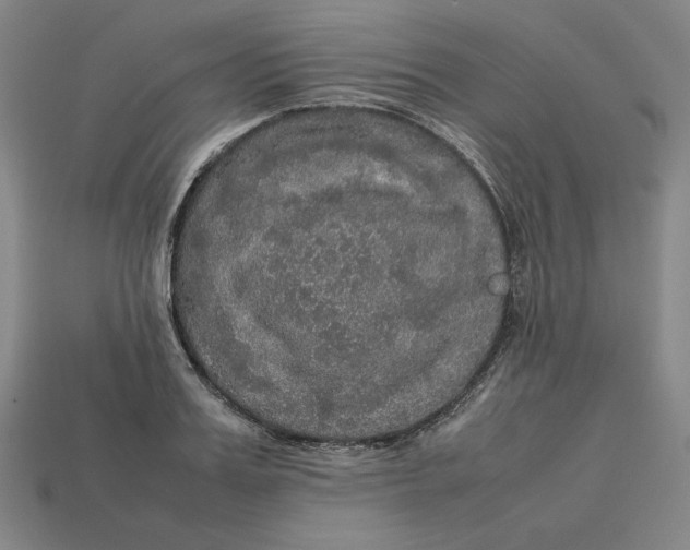 X0000113110987200909181624