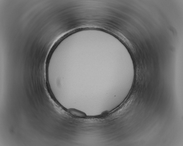 X0000113110988200909181624
