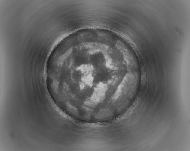 X0000113110990200909181624