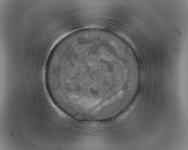 X0000113110991200909181624