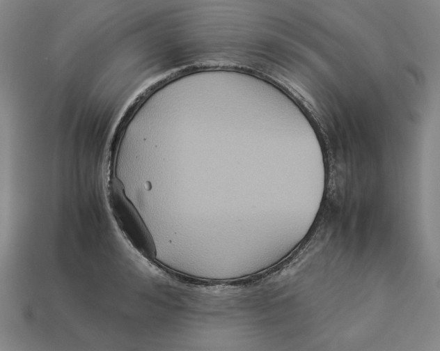 X0000113110992200909181624