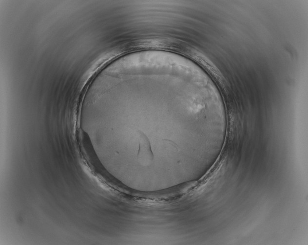 X0000113110994200909181624