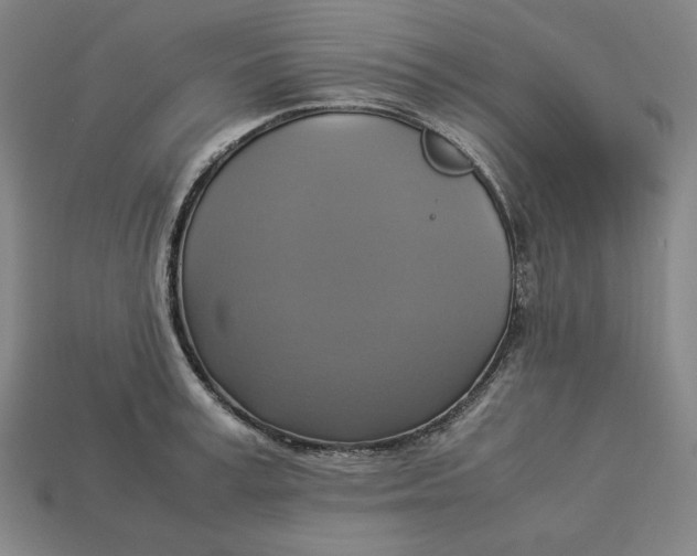 X0000113110995200909181624