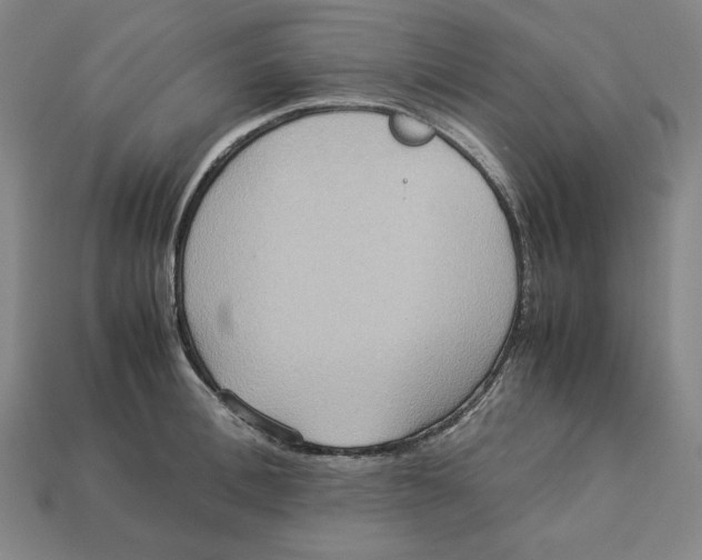 X0000113110996200909181624