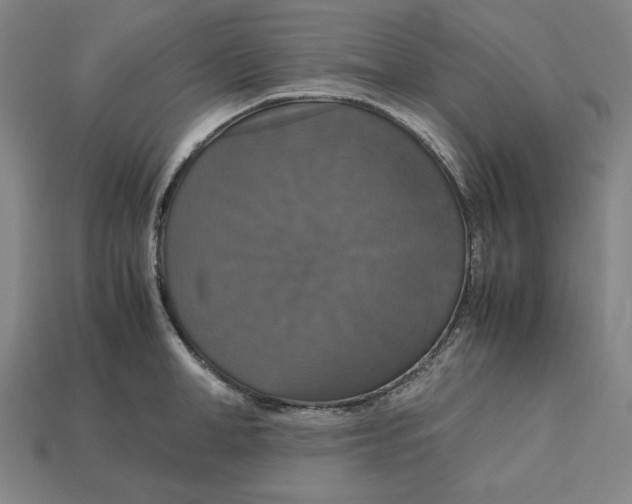 X0000113110998200909181624