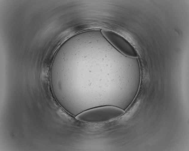 X0000113111001200909181624