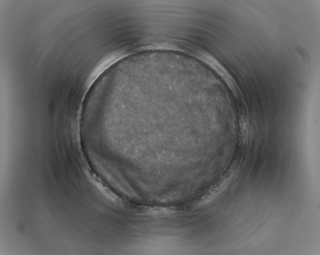 X0000113111002200909181624