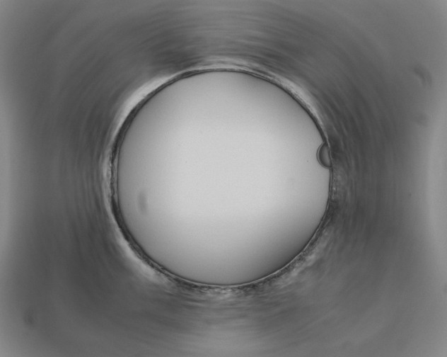 X0000113111003200909181624