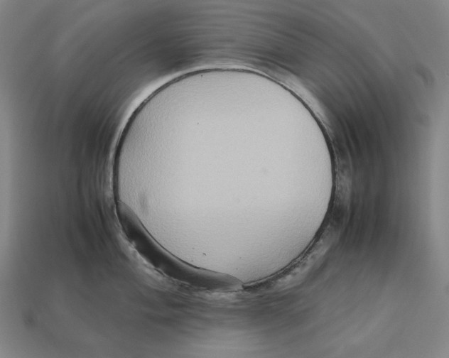 X0000113111004200909181624