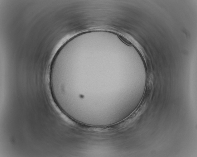 X0000113111005200909181624