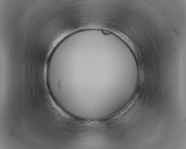 X0000113111006200909181624